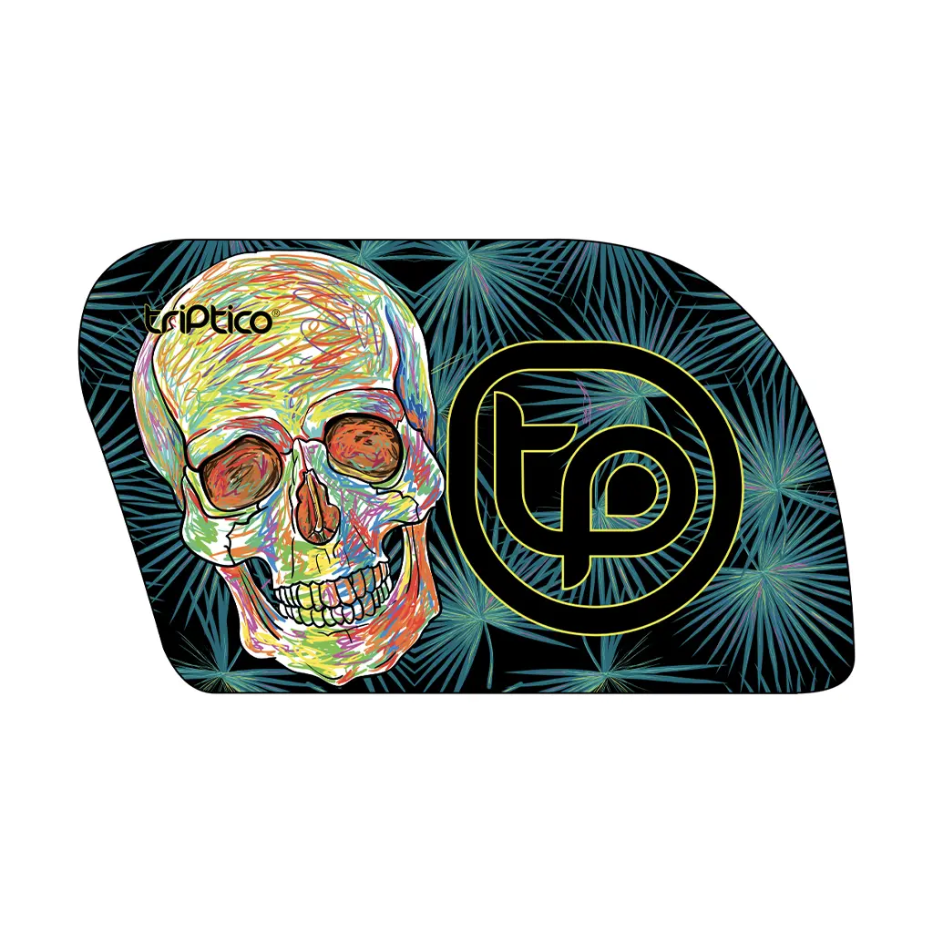 r4-pro_0009_111-AFR-skull-2024